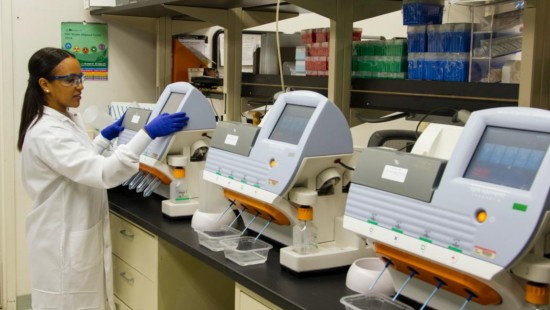 Guide to UDI Labeling Requirements and UDI Printers