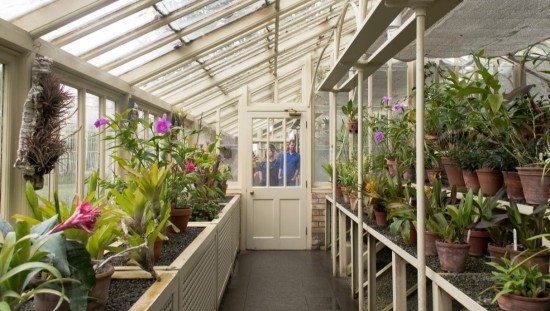 Choose Plant Label Printer for Garden or Nursery: 5 Essential Questions to Ask