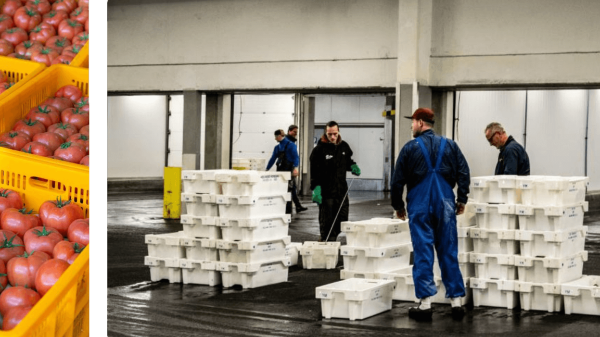 Best Barcode Label Printers for Cold Chain Logistics | iDPRT Solutions