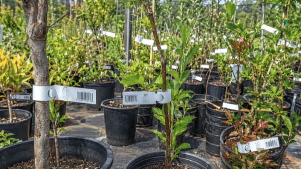 iDPRT Nursery Tag Printers for High-Volume Nurseries and Garden Centers